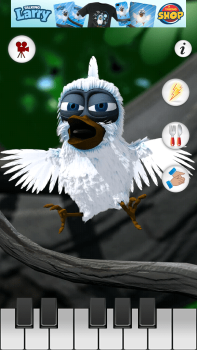 会说话的拉里鸟 会说话的拉里鸟