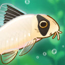 池趣