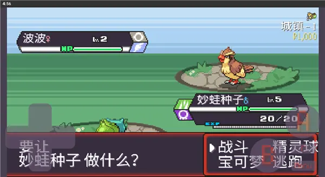 宝可梦肉鸽妖梦版截图0