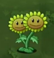 植物大战僵尸转基因版2.2.4 植物大战僵尸转基因版2.2.4