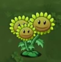 植物大战僵尸转基因版2.2.4 植物大战僵尸转基因版2.2.4