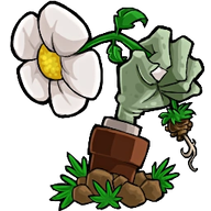 植物大战僵尸转基因版2.2.4