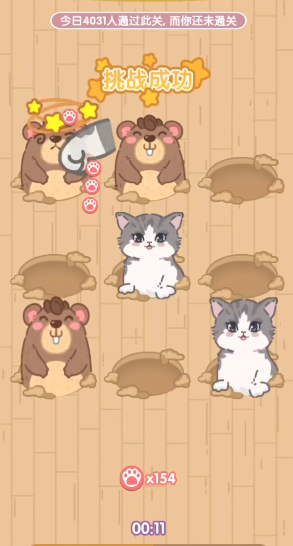 猫猫狗狗一起玩