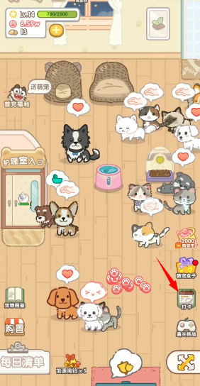 猫猫狗狗一起玩
