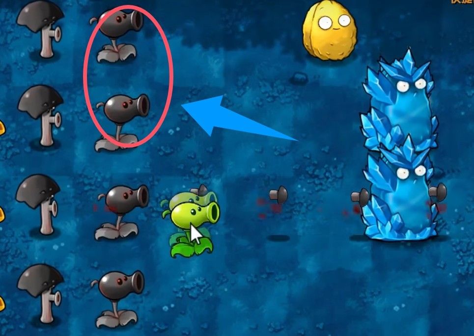 植物大战僵尸融合版高数带我飞二创版