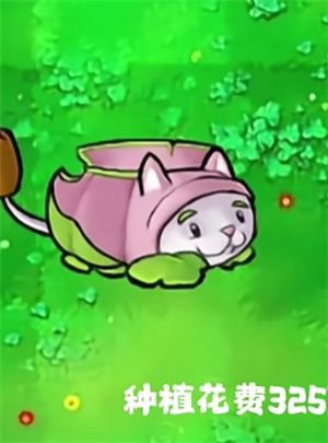 植物大战僵尸杂交版最新版