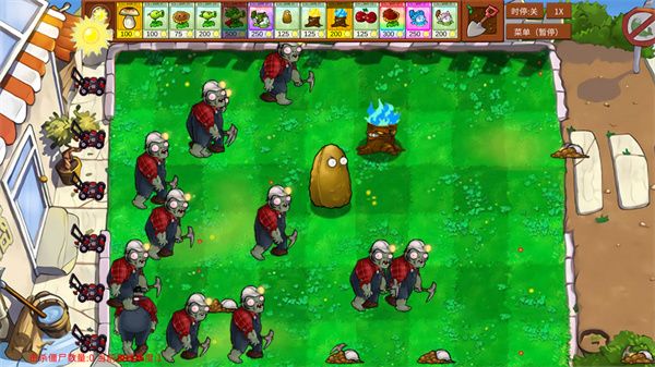 植物大战僵尸乱斗版 植物大战僵尸乱斗版