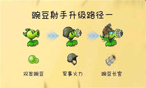 pvz共生版