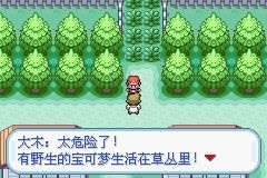 口袋妖怪火红扩展版