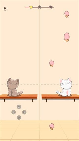 猫咪二重奏2025