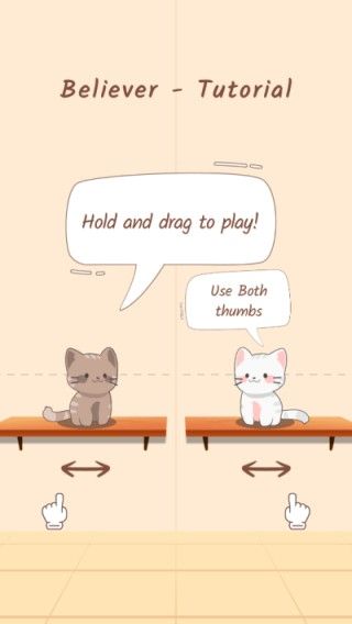 猫咪二重奏2025