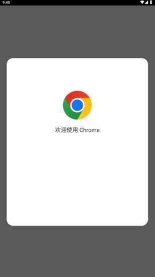 谷歌浏览器安卓版
