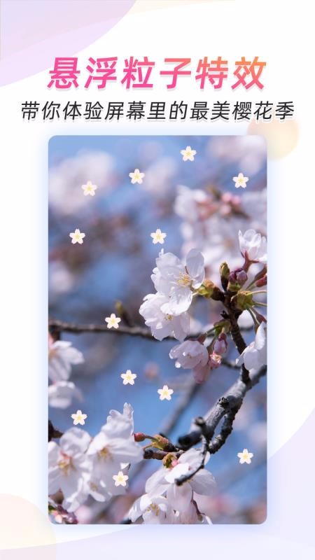 微视频壁纸截图1