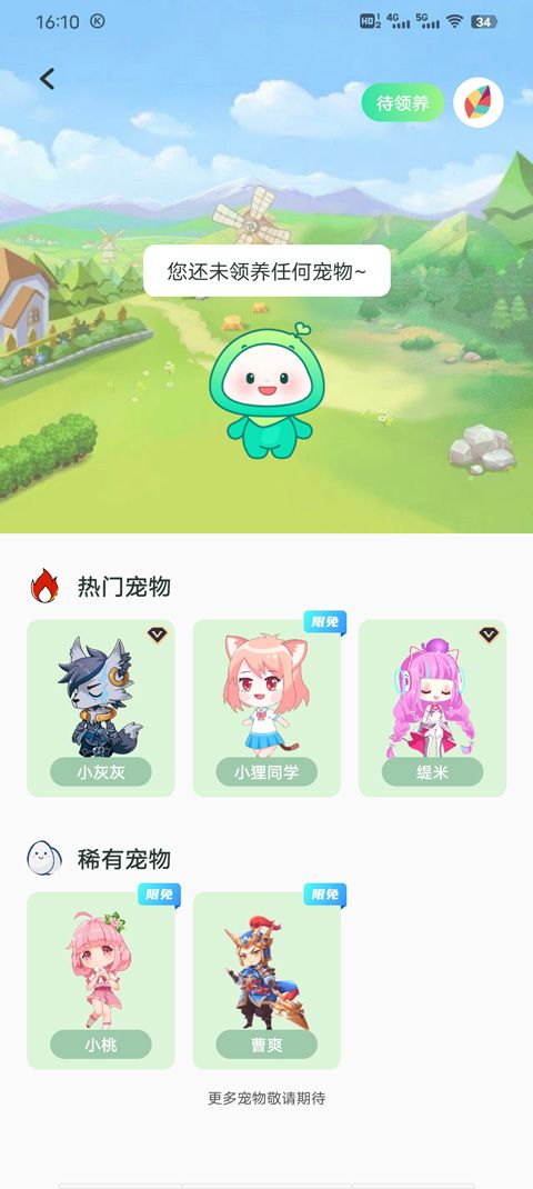 飞火动态壁纸手机版