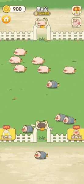 猪猪多多红包版