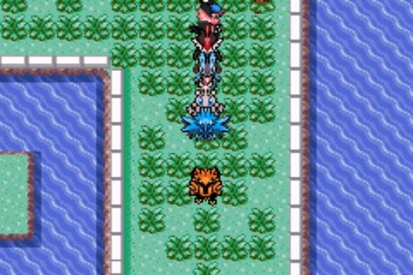 口袋妖怪格查尔pokemonquetzal