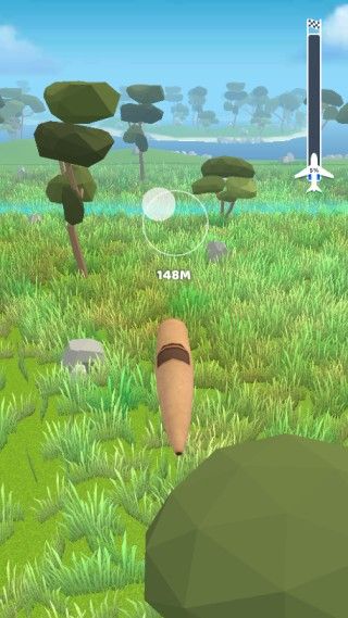 飞机模拟高手 飞机模拟高手