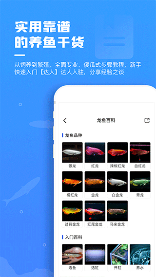 鲲天下养鱼app截图2