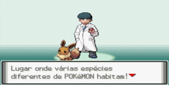 精灵宝可梦黑暗崇拜3.8截图1