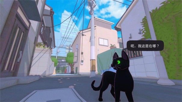 小猫咪大城市游戏手机版