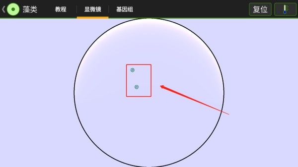 细胞实验室v103汉化版最新版本 细胞实验室v103汉化版最新版本