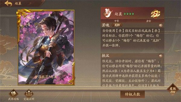 三国杀十周年 三国杀十周年