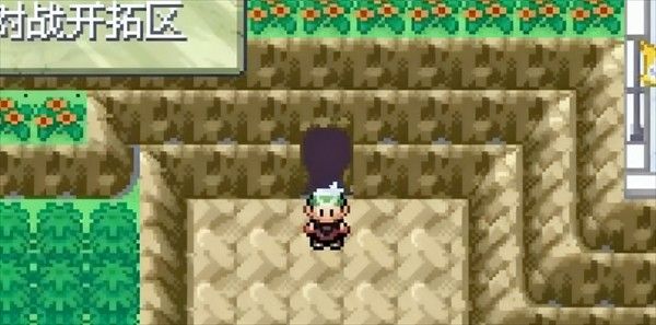 口袋妖怪永恒之沫3.0金手指