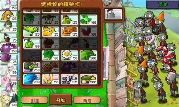 植物娘大战僵尸0.6.6 植物娘大战僵尸0.6.6