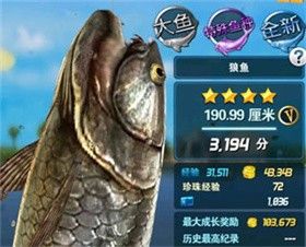 钓鱼发烧友2025最新版本 钓鱼发烧友2025最新版本