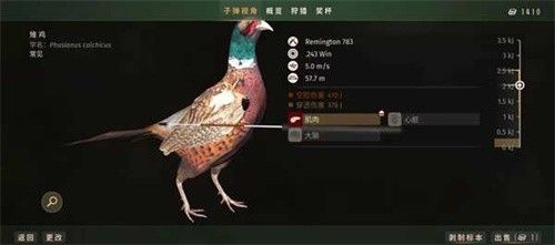 狩猎之道手机版