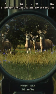 狩猎之道手机版截图2