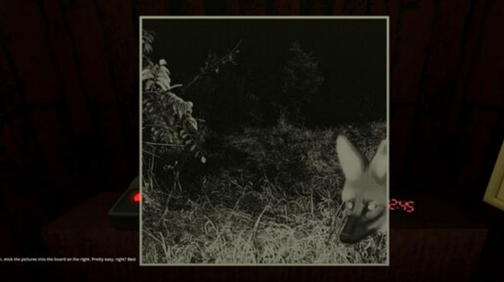 动物观察员截图1