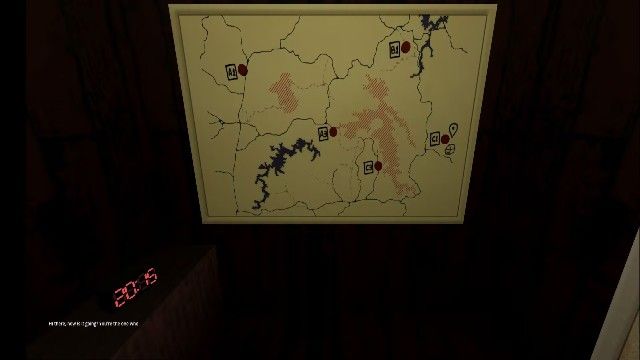 动物观察员 动物观察员