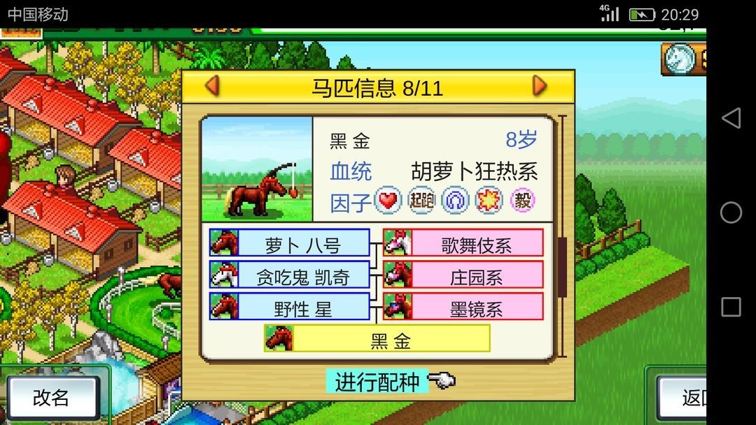 赛马牧场物语debug版