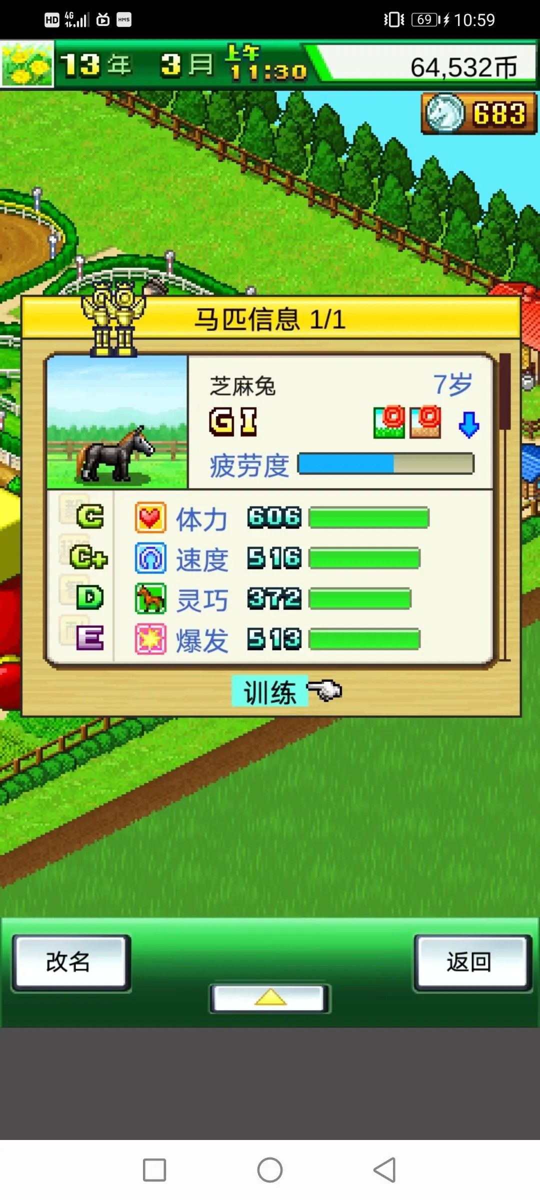 赛马牧场物语debug版