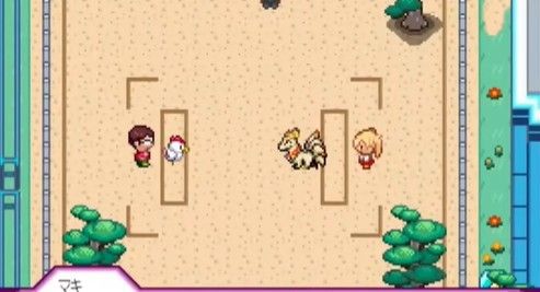 宝可梦迷之规则汉化版 宝可梦迷之规则汉化版