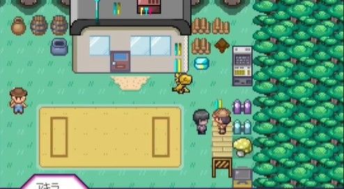 宝可梦迷之规则汉化版 宝可梦迷之规则汉化版