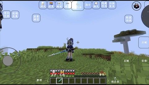 我的世界史蒂夫模组