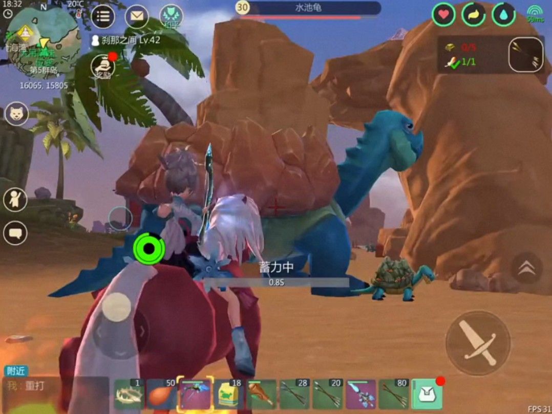 创造与魔法龟吃什么 创造与魔法龟吃什么