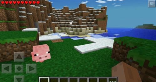 我的世界基岩版1.19.51截图2