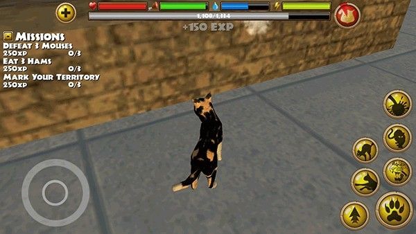 流浪猫模拟器中文版 流浪猫模拟器中文版