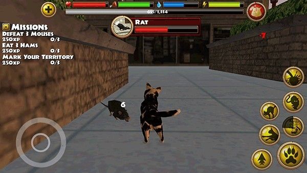 流浪猫模拟器中文版 流浪猫模拟器中文版