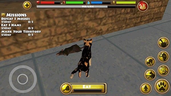 流浪猫模拟器中文版 流浪猫模拟器中文版