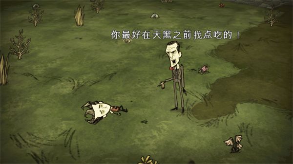 饥荒灵幻版 饥荒灵幻版