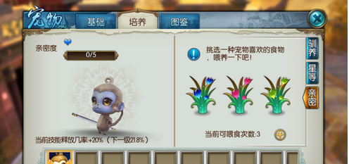 诛仙手游里宠物技能怎么放