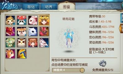 诛仙手游稀有花魅如何加点