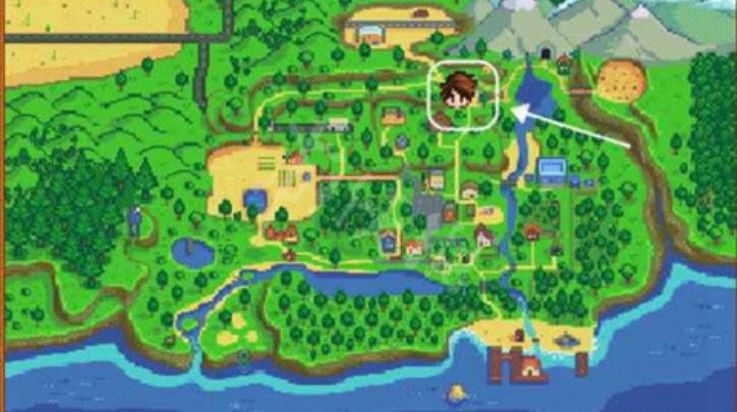 星露谷物语数数魔改版枫阿姨