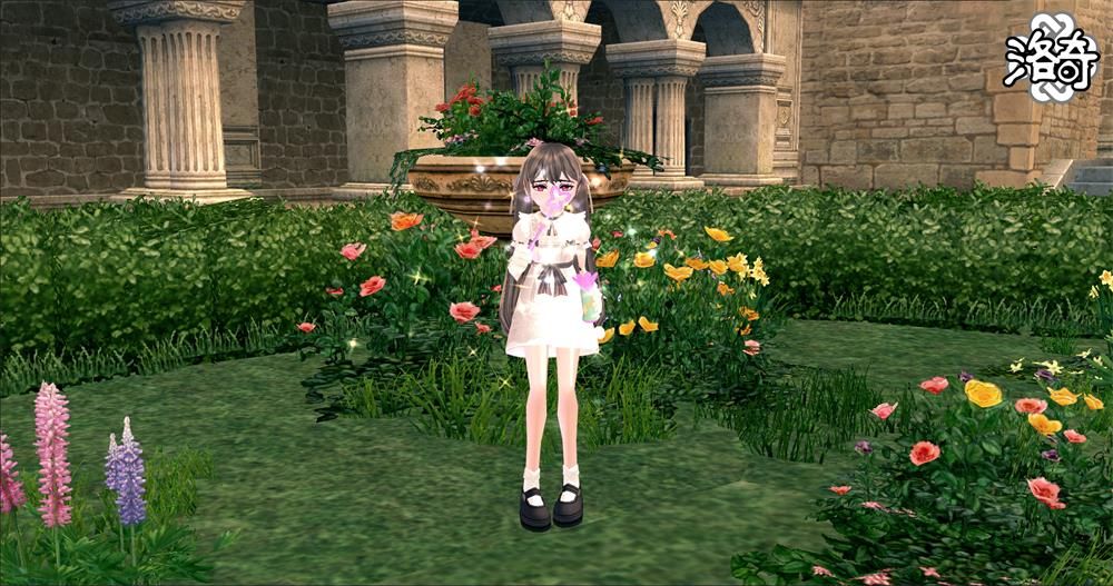 《洛奇》超多福利,寻找幸福的足迹活动火热进行中