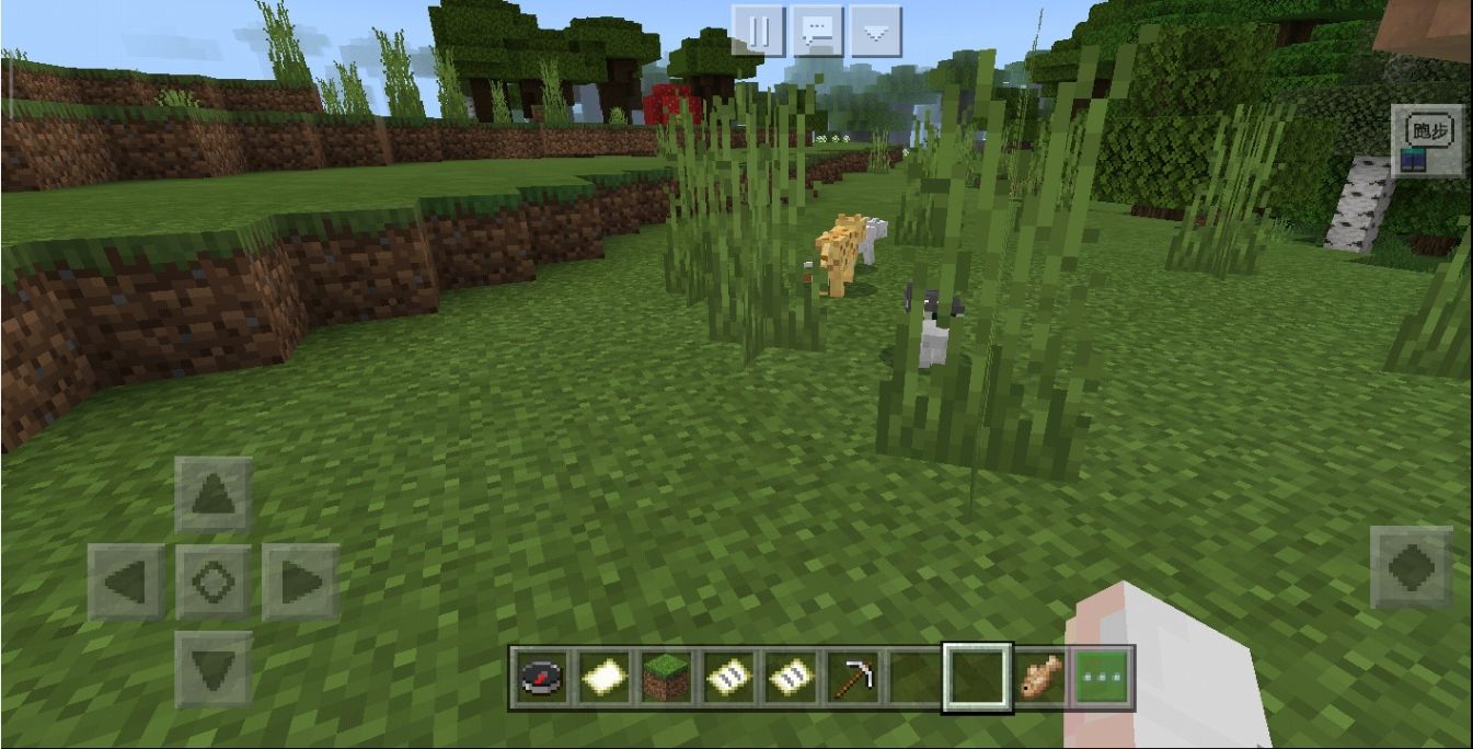 我的世界怎么驯服猫