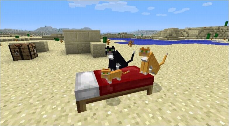 我的世界怎么驯服猫